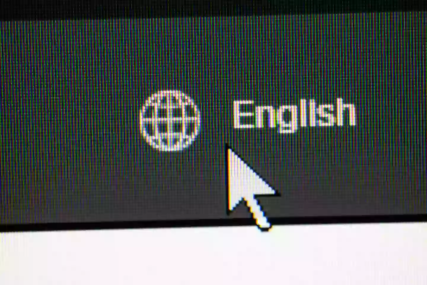 English is now the official language of America (Getty Stock Image)