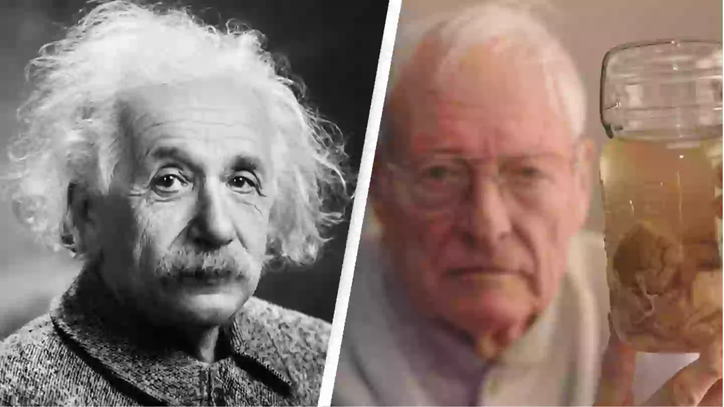 Twisted tale of man who stole Albert Einstein's brain
