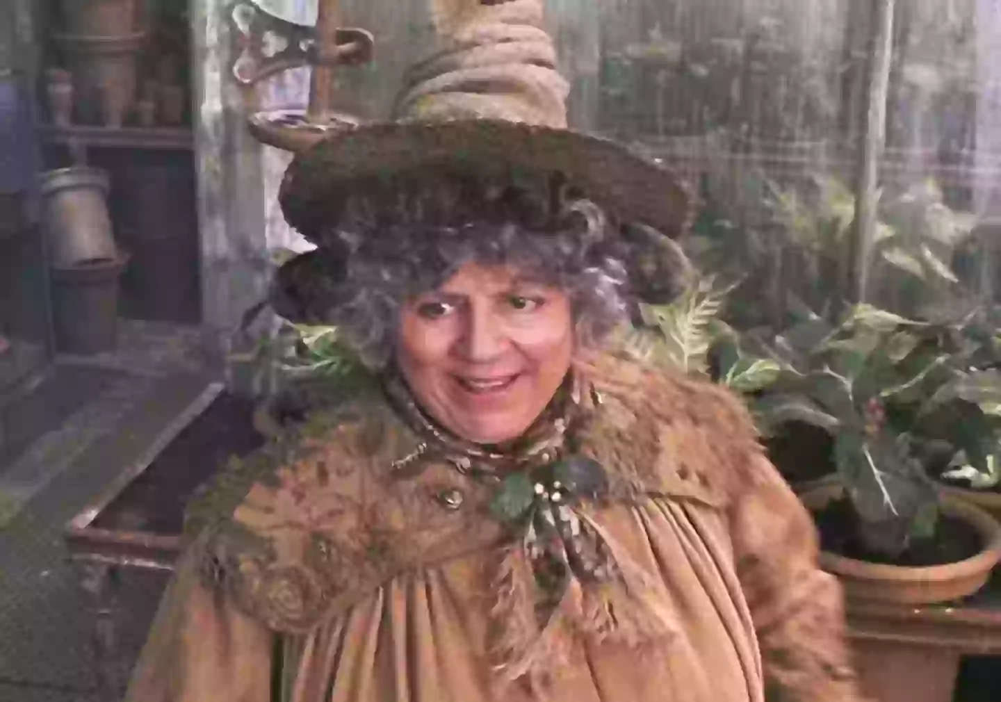 Miriam Margolyes in Harry Potter (Warner Bros.)