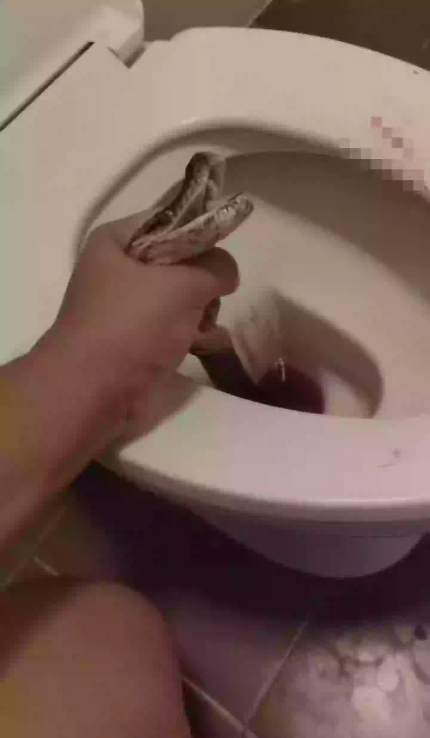 The man was bitten on the balls by a python. (Jam Press)