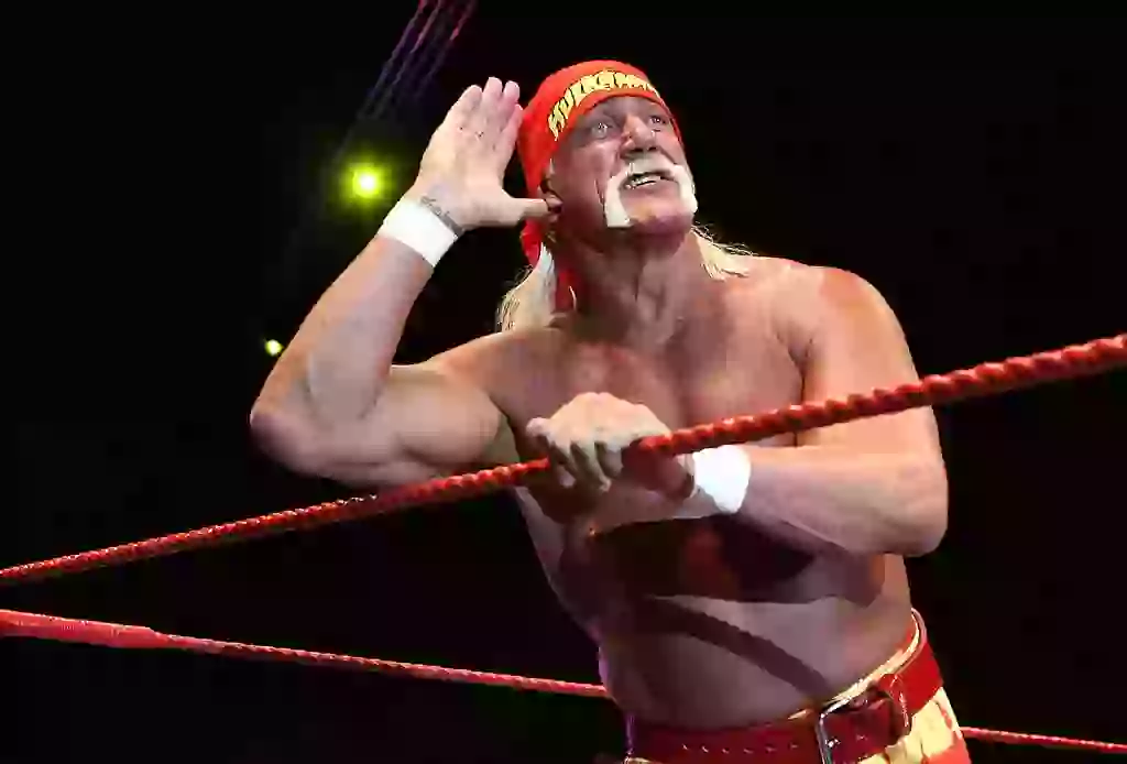 Hulk Hogan was 71 when he died (Paul Kane/Getty Images)