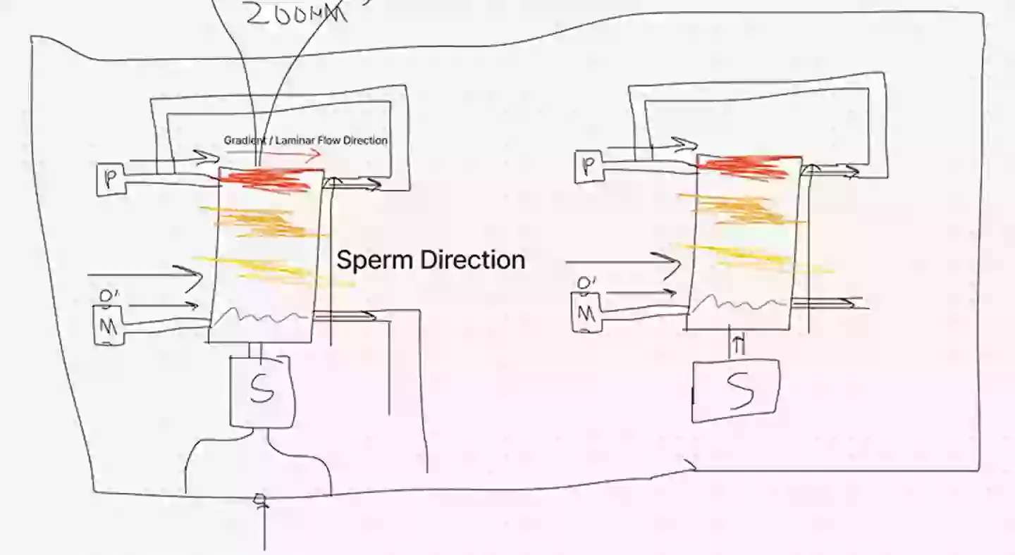 A diagram of the racetrack (Spermracing.com)