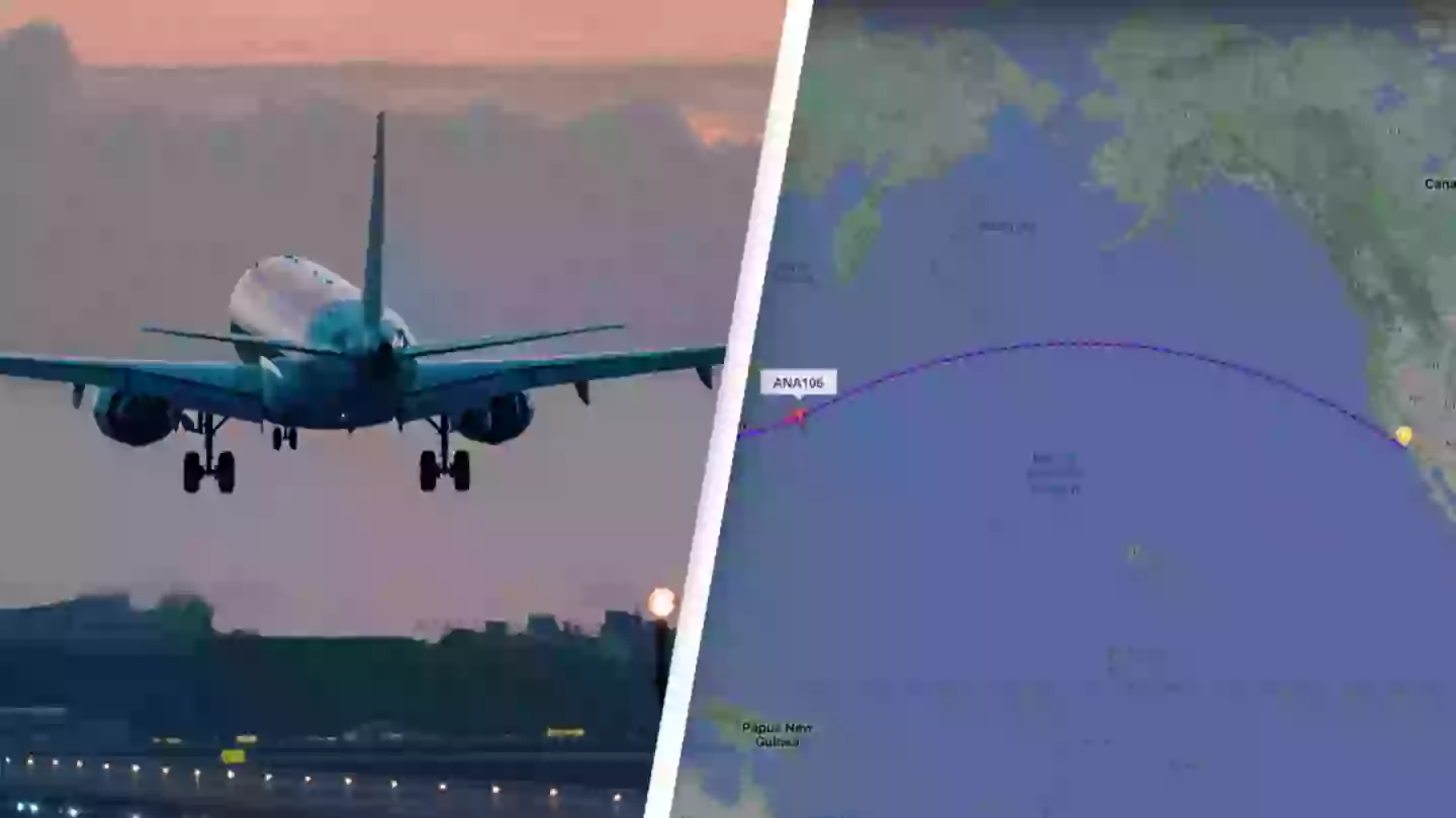 Flight went 'back in time' after it took off in 2025 and lands back in 2024