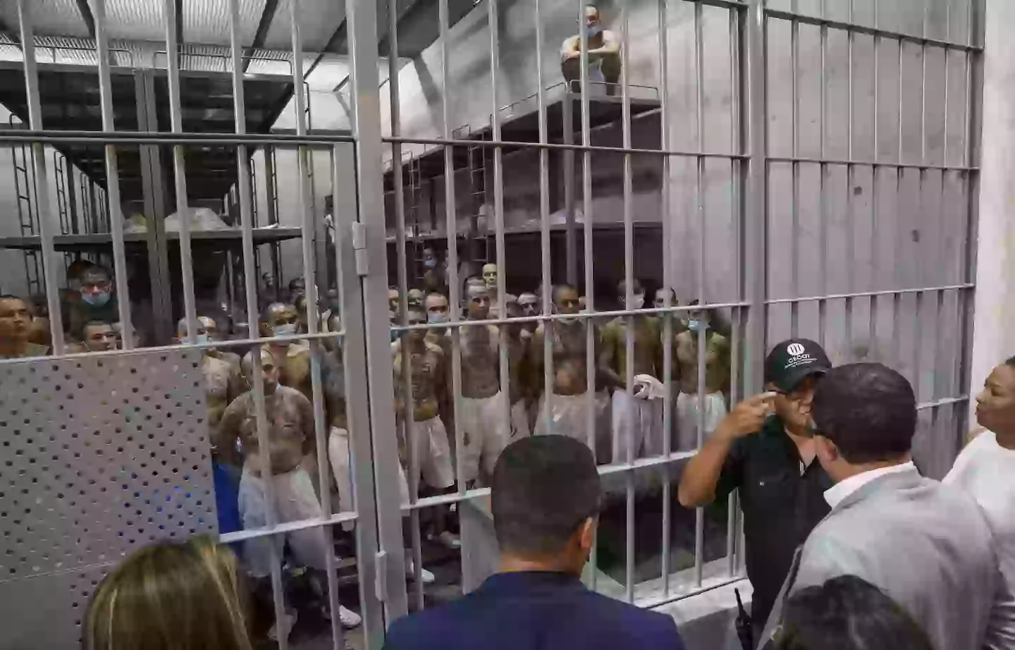 Over 200 people were deported (Alex Pena/Anadolu via Getty Images)