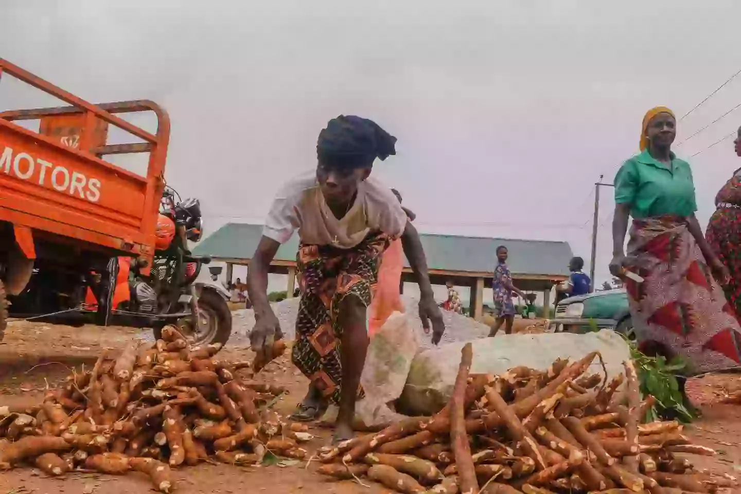 The cassava plant can be deadly (Emmanuel Osodi/Anadolu via Getty Images)