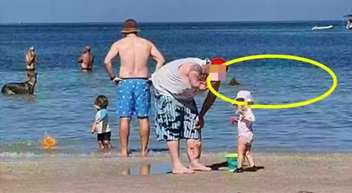 Does that look like a shark to you? (Facebook/ SES Chelsea Unit)