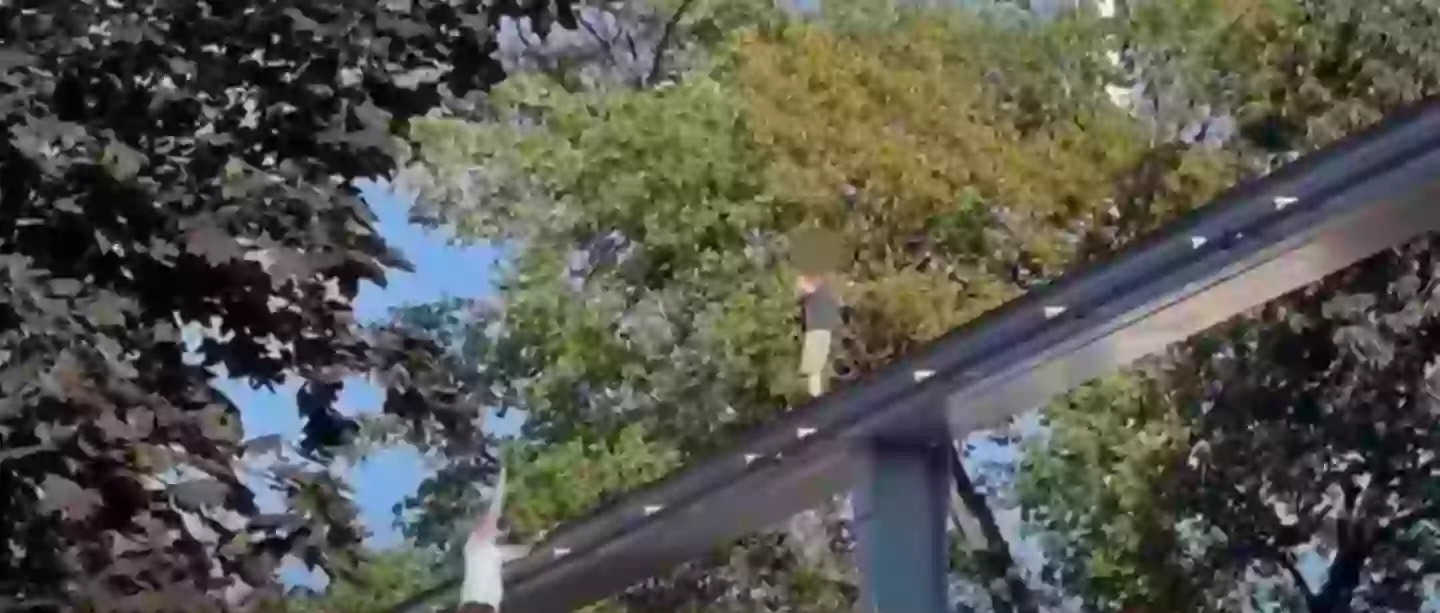 A bystander helped bring the child to safety (CBS 21 News)