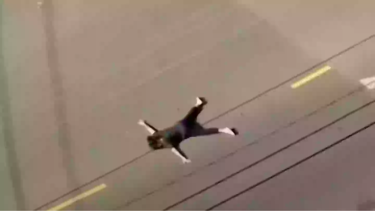 What we know after Weezer bassist Scott Shriner’s wife shot by police and booked for attempted murder