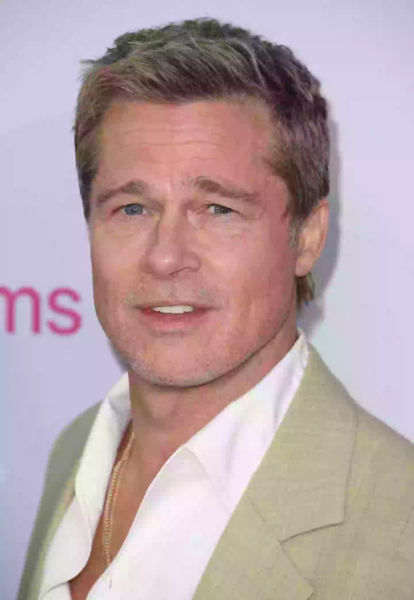 Brad Pitt denies all allegations made towards him by his ex-wife Angelina Jolie(Steve Granitz/FilmMagic)