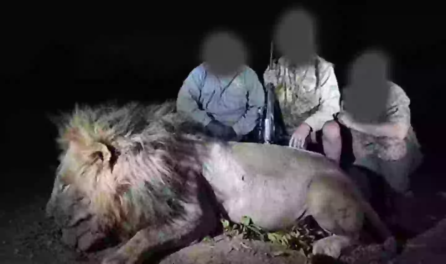 A now-deleted photo on Facebook showed the hunters kneeling by Blondie's body (Facebook)