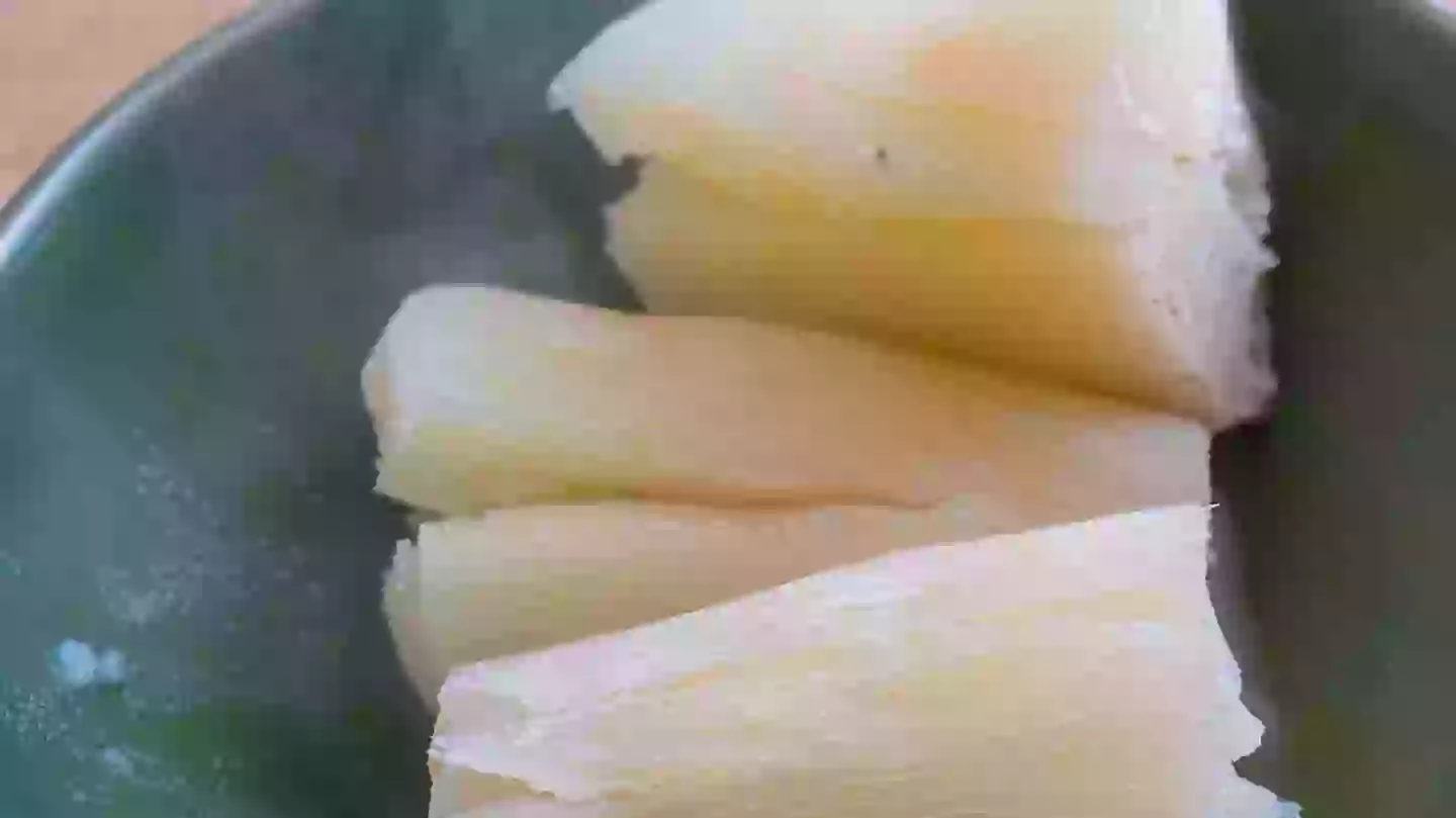 ‘World’s deadliest food‘ kills more than 200 people a year but millions of people still eat it