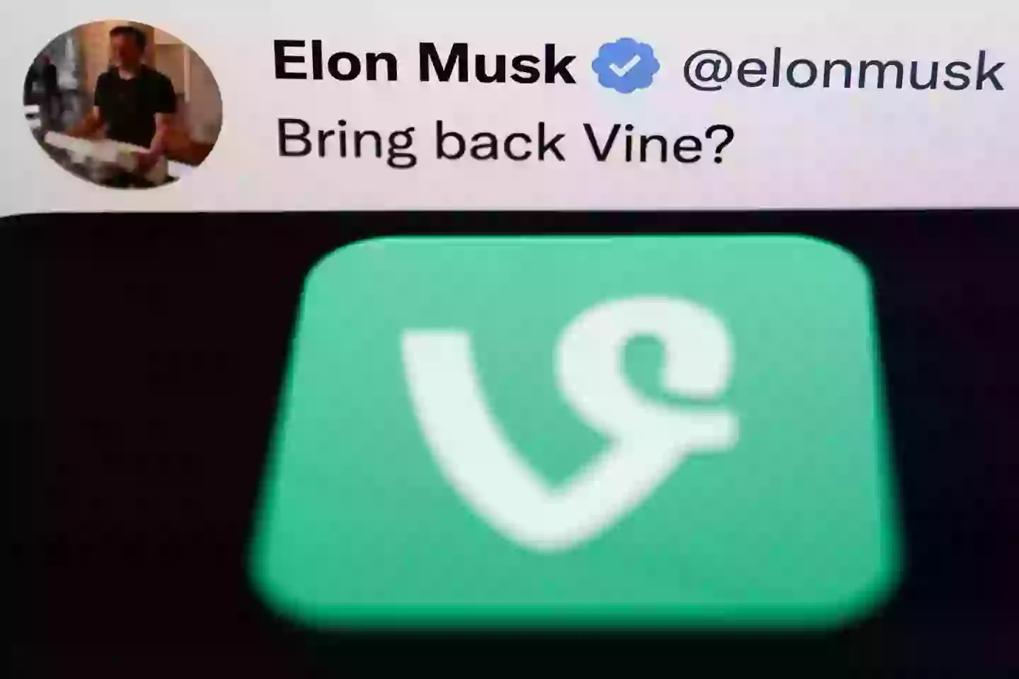 Vine is making a return (Jakub Porzycki/NurPhoto via Getty Images)