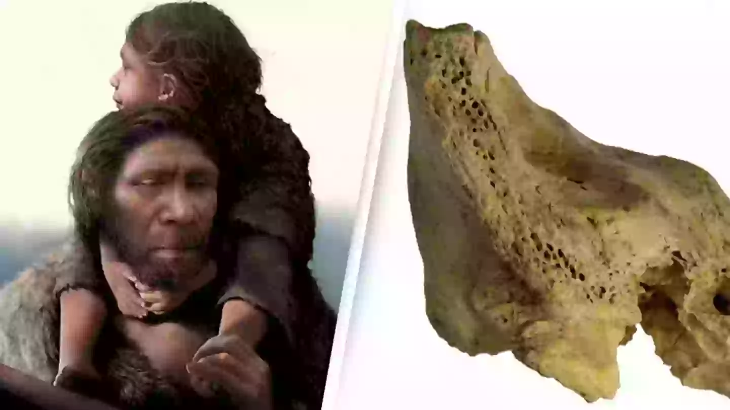 Tom Bjorklund/Max Planck Institute for Evolutionary Anthropology/Science Advances