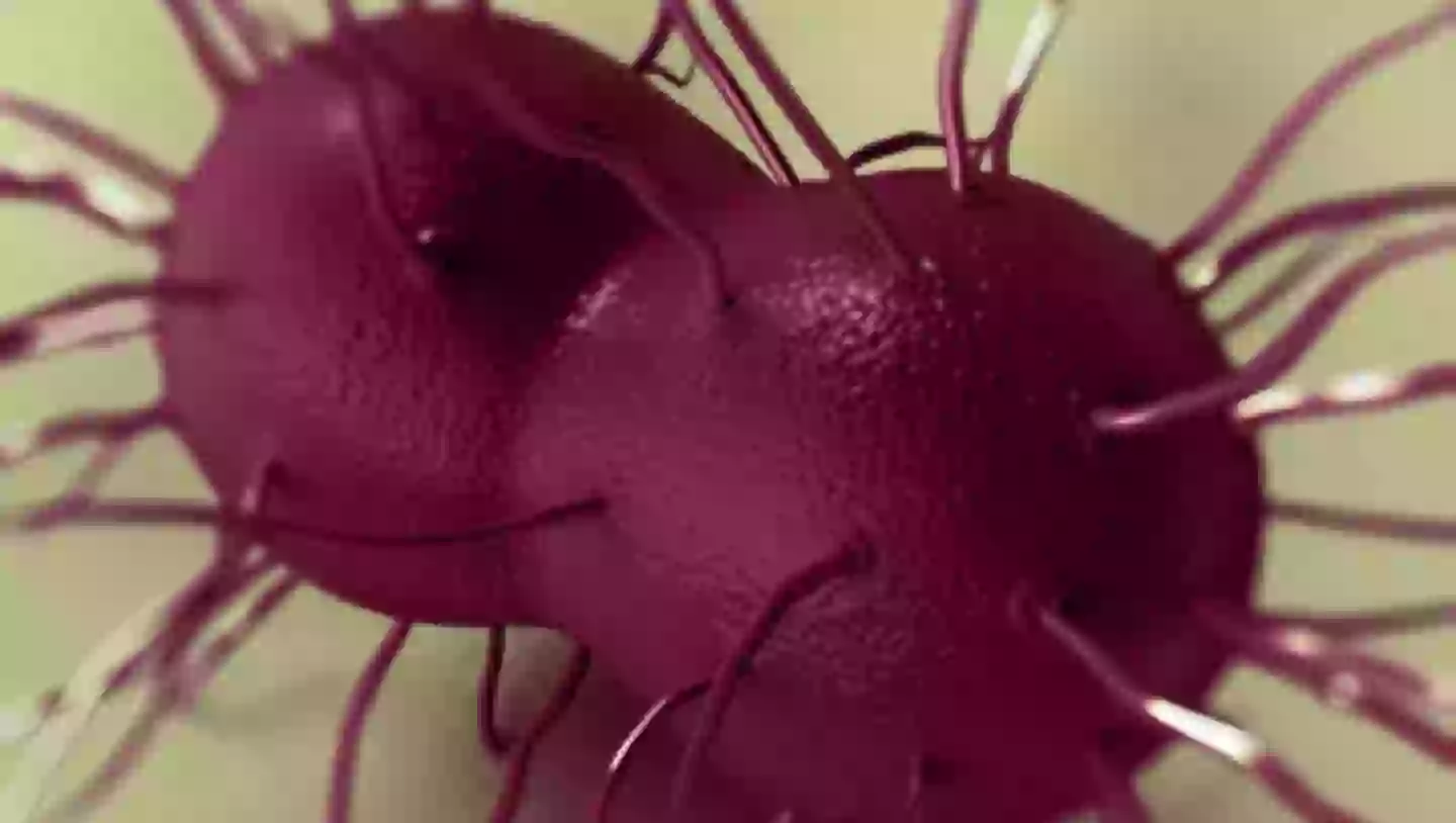 DGI can be avoided if your STI is treated shortly after displaying symptoms (Centers for Disease Control and Prevention)