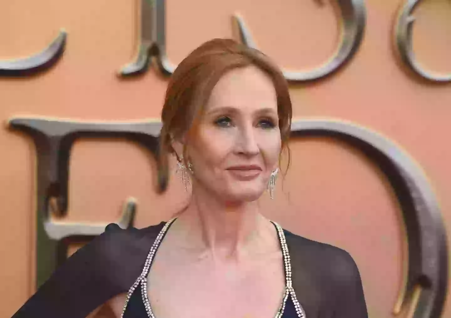 JK Rowling has an ongoing feud with many Harry Potter co-stars (Stuart C. Wilson/Getty Images)