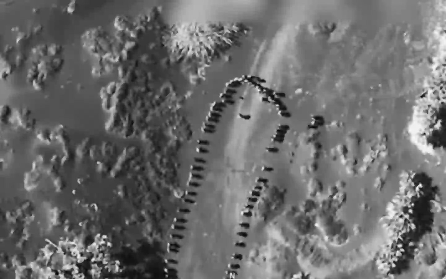 Trump shared footage of an airstrike on 'Houthis' (Truth Social/ @realDonaldTrump)