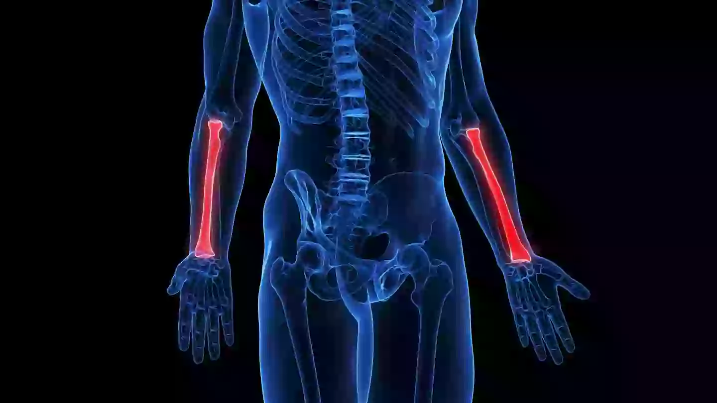 The radius can be particularly fragile after time in space (Sebastian Kaulitzki/Science Photo Library/Getty Images)