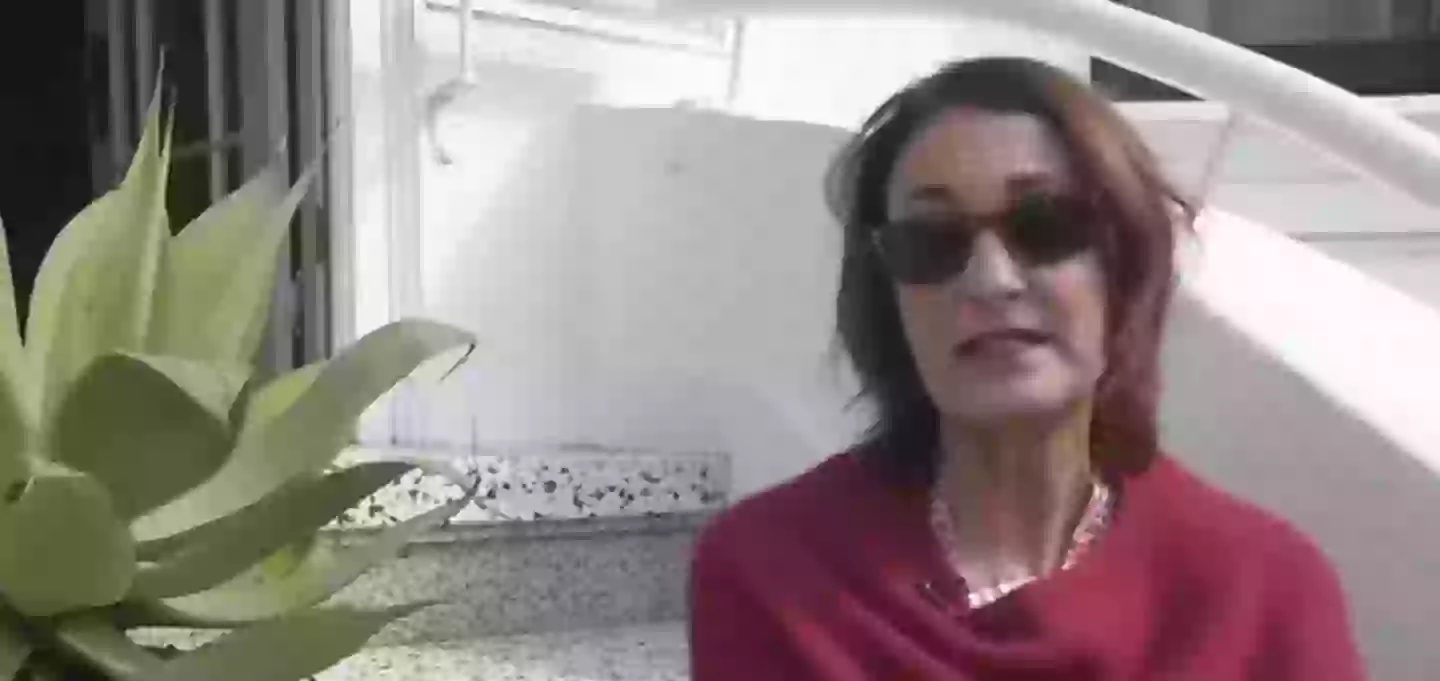 Jamie Comer spoke out about her stage four cancer diagnosis in 2023 (ABC 7News)