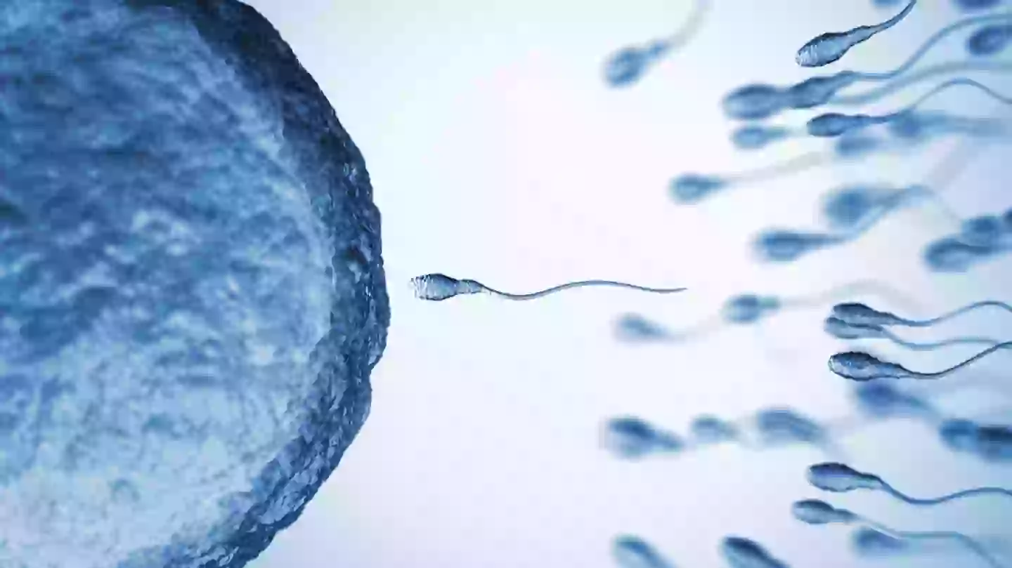 Scientists left shocked after discovering that sperm breaks one of the laws of physics