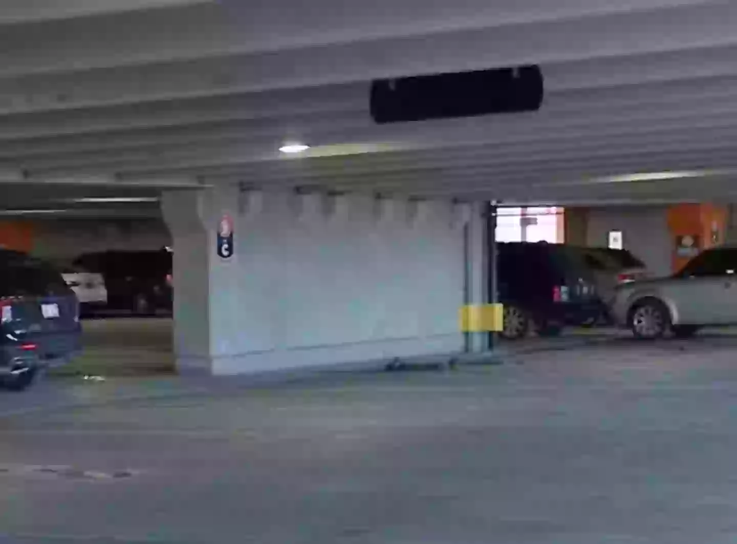 The mom was with her five children in the parking garage (Fox 2 Detroit)