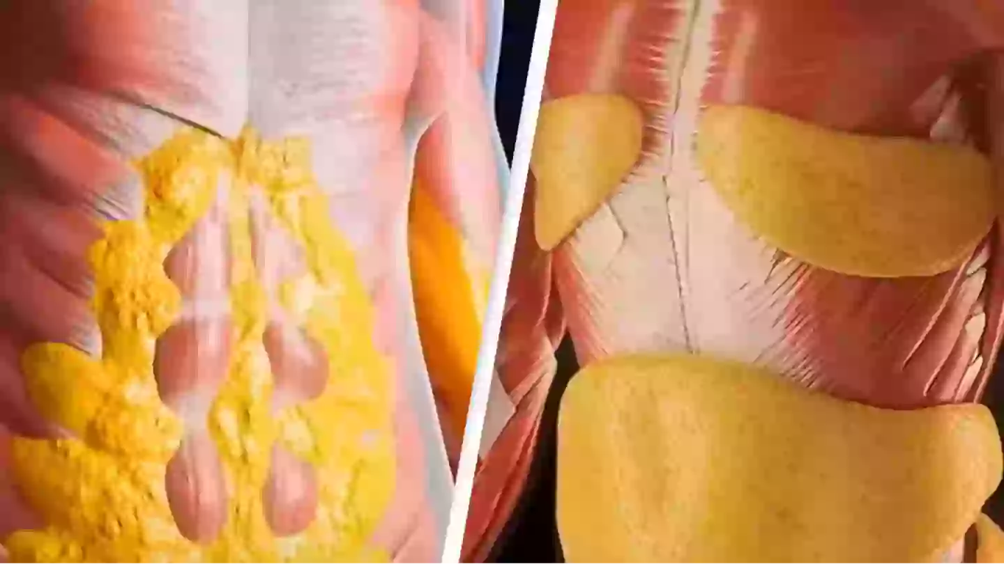 Shocking simulation shows what happens to your body when you fast for 36 hours and the extreme impact