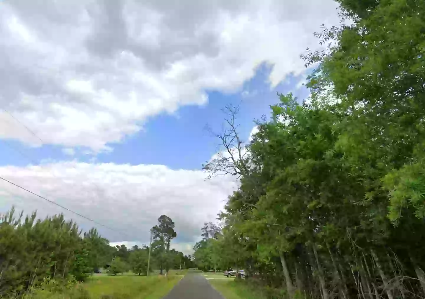 Trey was killed on North First Neck Road in the Johnsonville community (Google Street View)