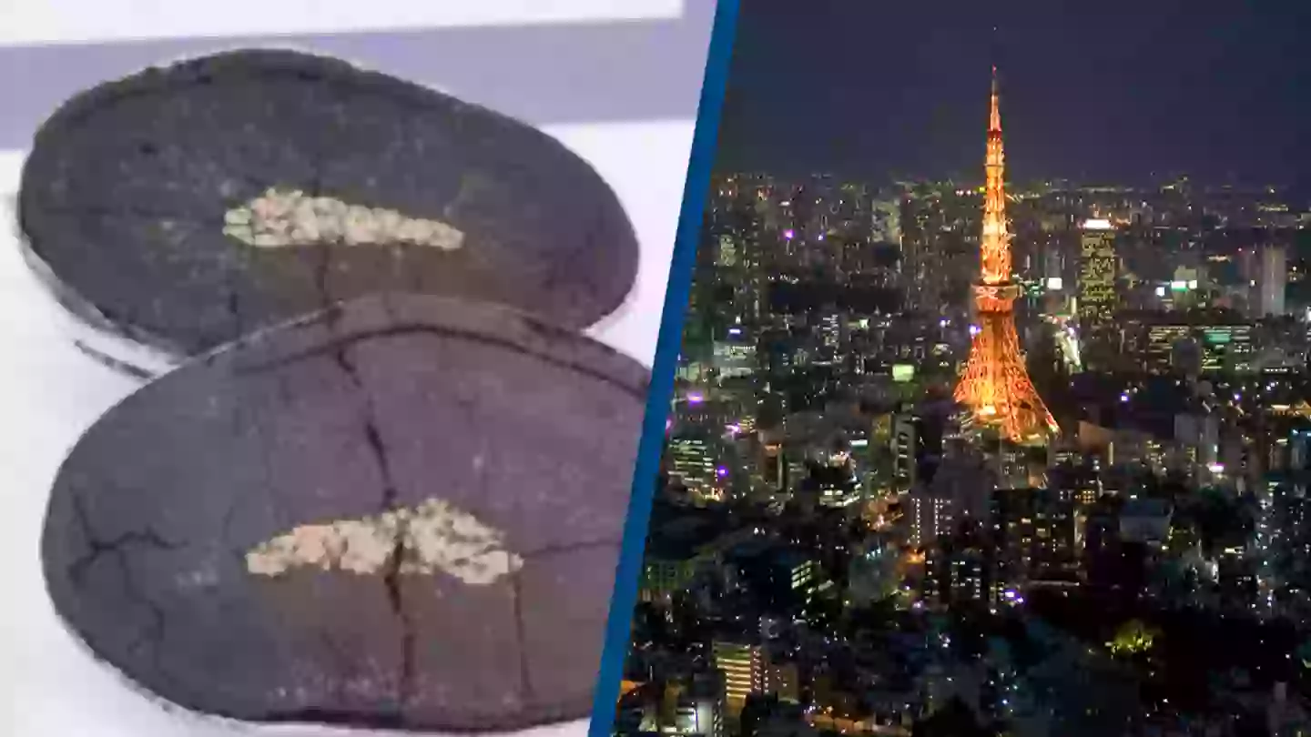 Japan has made a $26,290,780,000 discovery that'll keep its economy topped up for the next decade