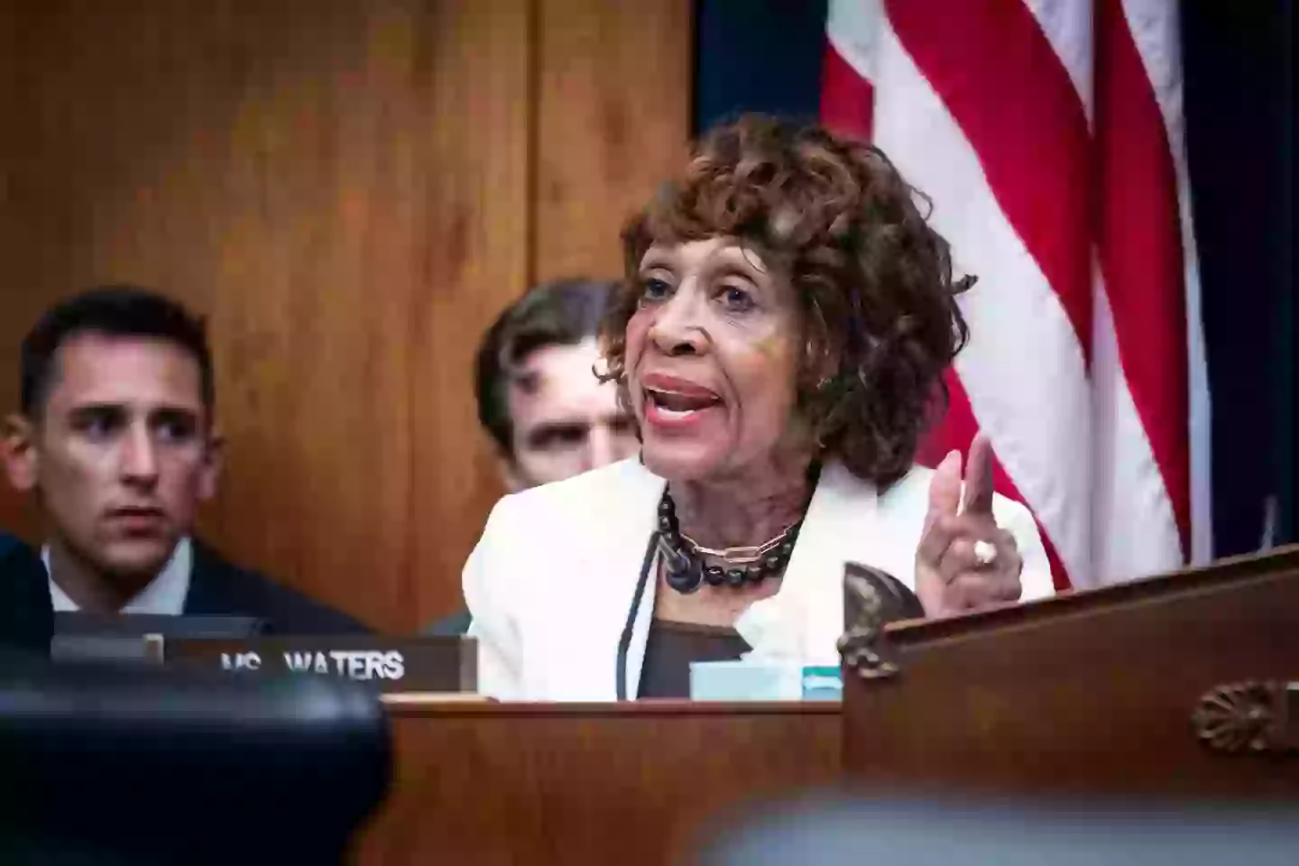 Maxine Waters explained the many issues she has with Trump and his administration (Pete Marovich/Getty Images)
