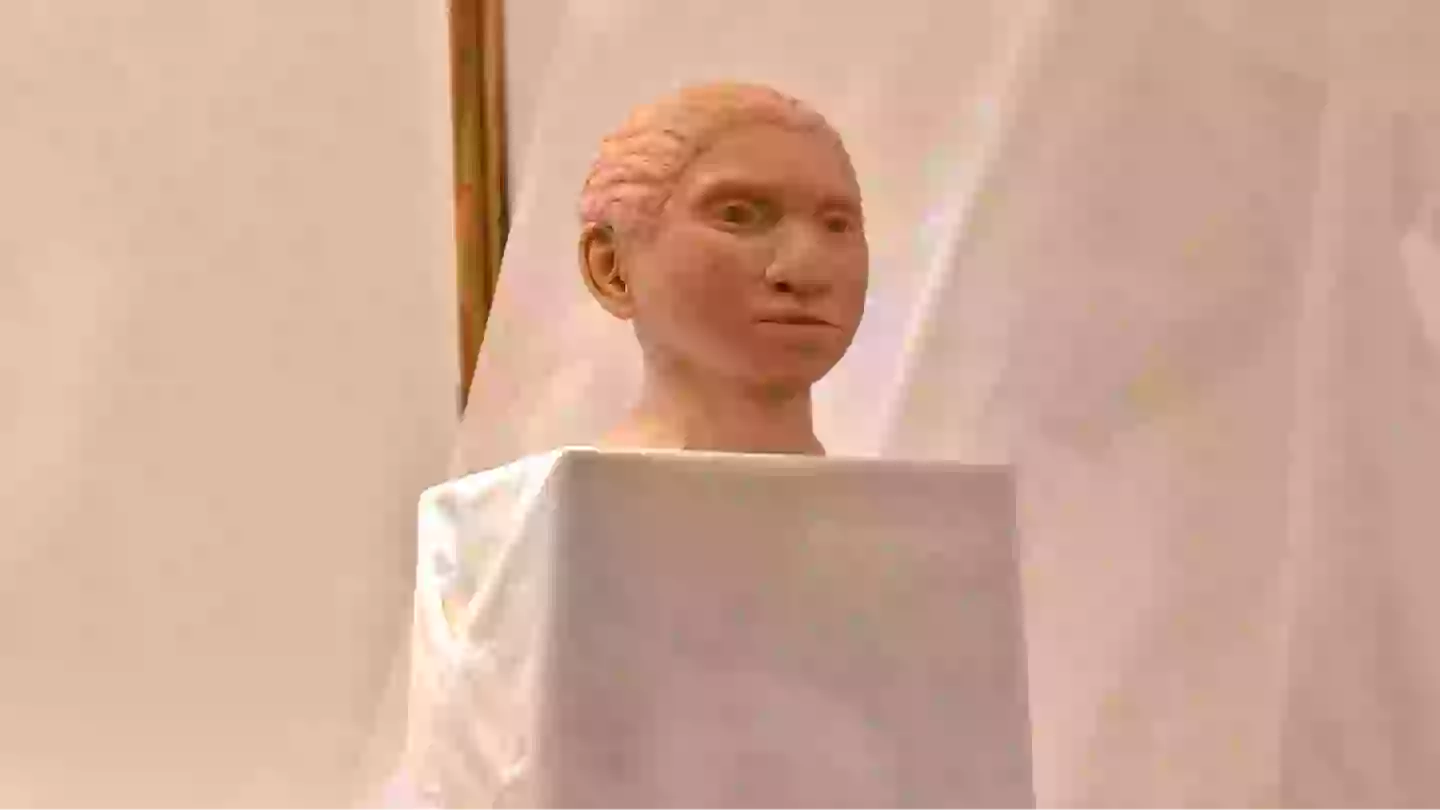 Mysterious jawbone found on ocean floor unveils new information about long-lost human ancestors