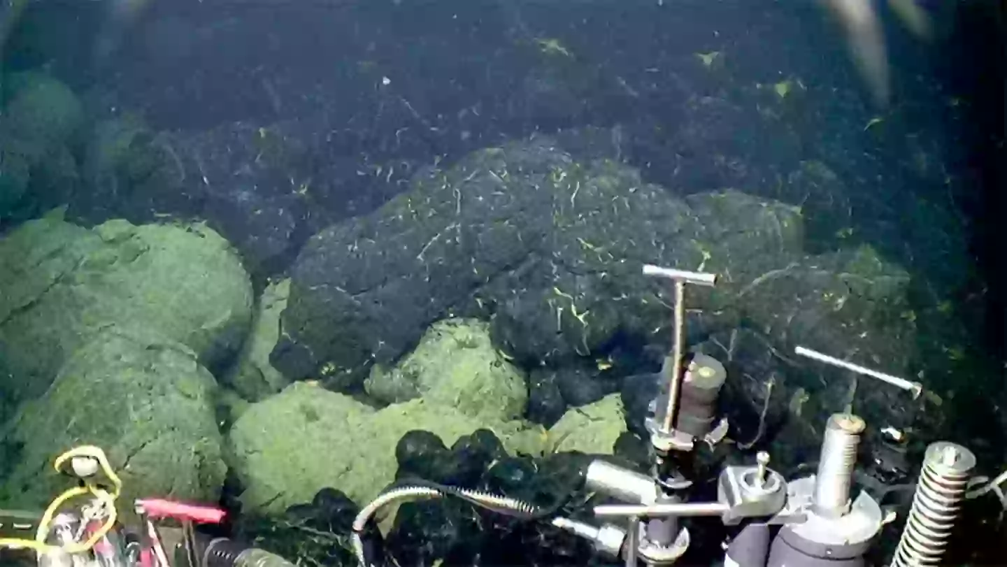 The edge of the 2015 lava flow at Axial Seamount (the dark lava at right) where it overlies older sedimented lavas (lower left) (Bill Chadwick/Oregon State University, ROV Jason/Woods Hole Oceanographic Institution)