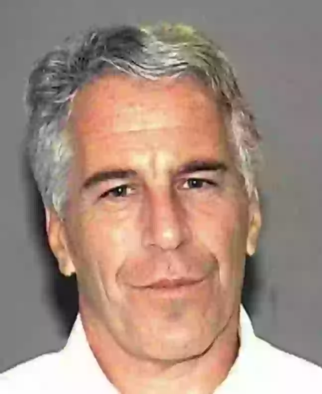 Epstein's links to the president have been heavily discussed (Palm Beach County Sheriff's Department)