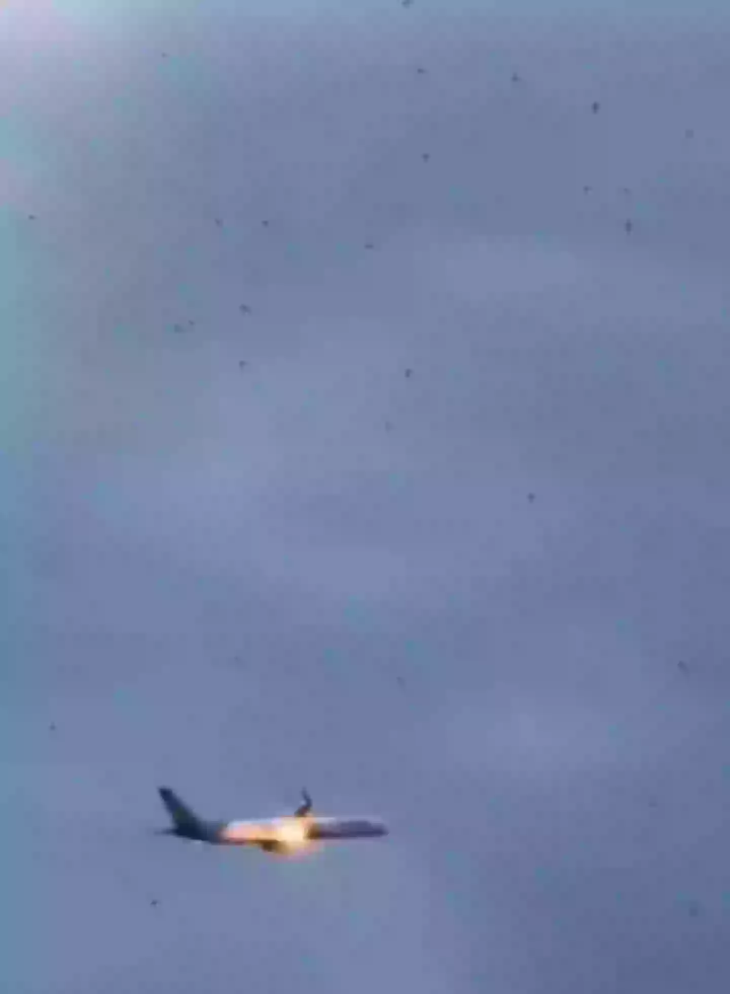 The plane could be seen with what looked like fire coming out of its engine (Viral Press)
