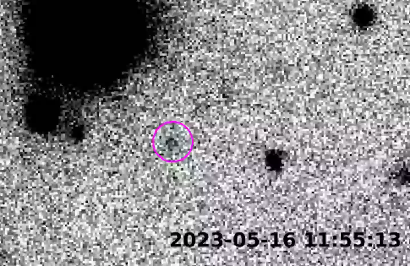 Ammonite has been tracked (NAOJ/ASIAA)