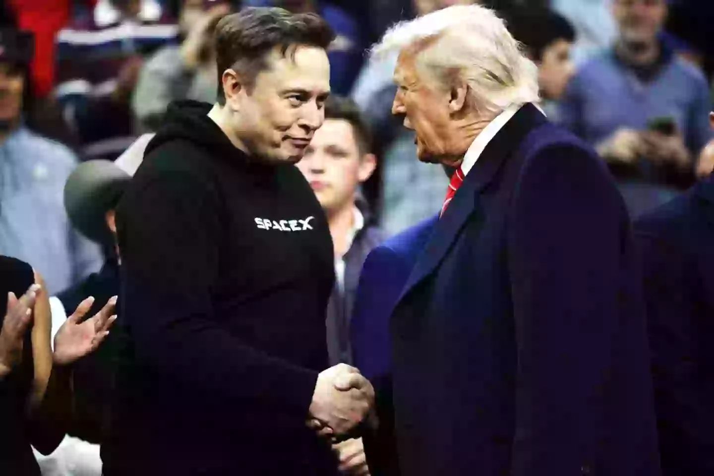 Elon Musk and Trump previously worked together in the White House (Kayla Bartkowski/Getty Images)