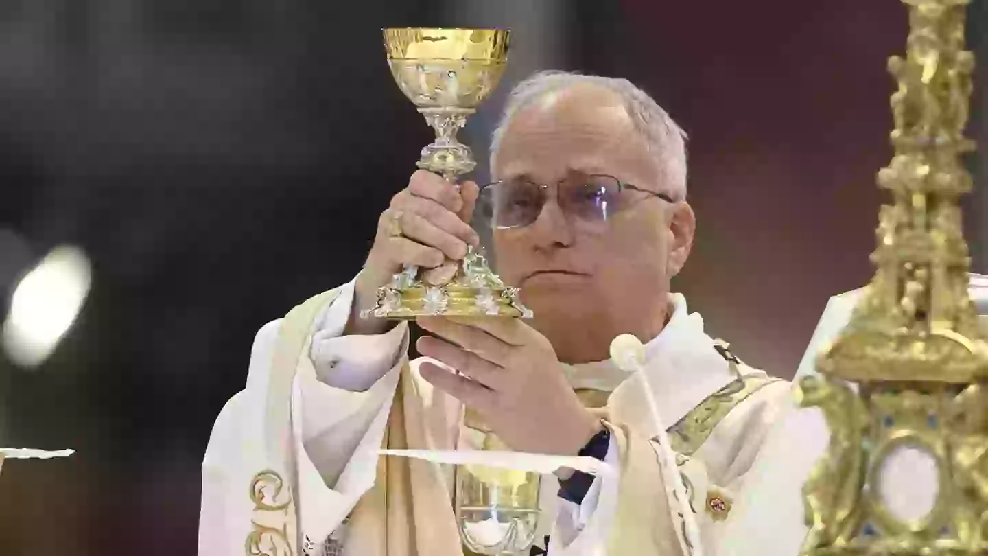 Pope Leo is seemingly a big fan of Apple Watches (Mondadori Portfolio/Getty)