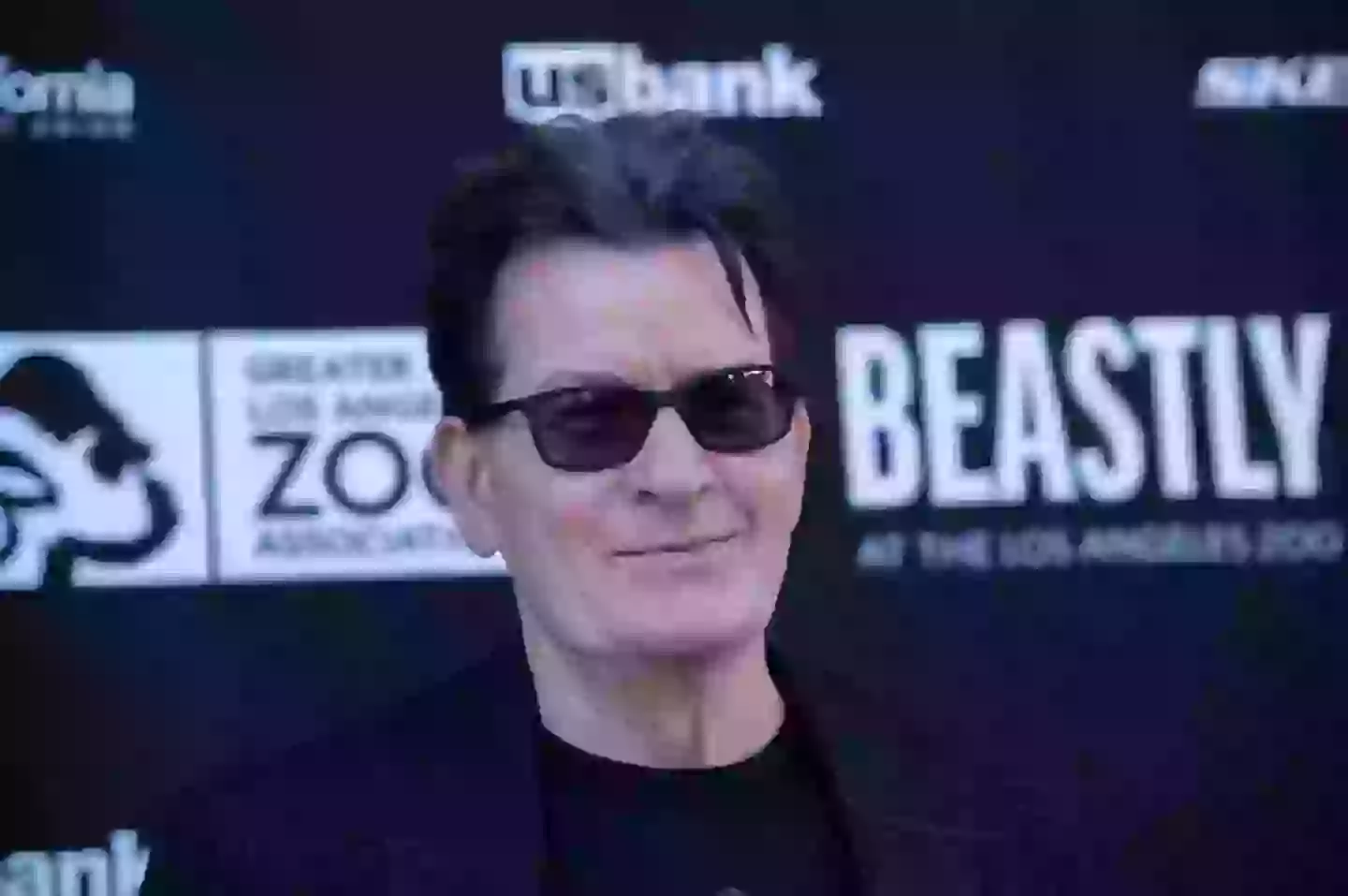 Charlie Sheen is releasing a new book and Netflix documentary (Amanda Edwards/Getty Images)
