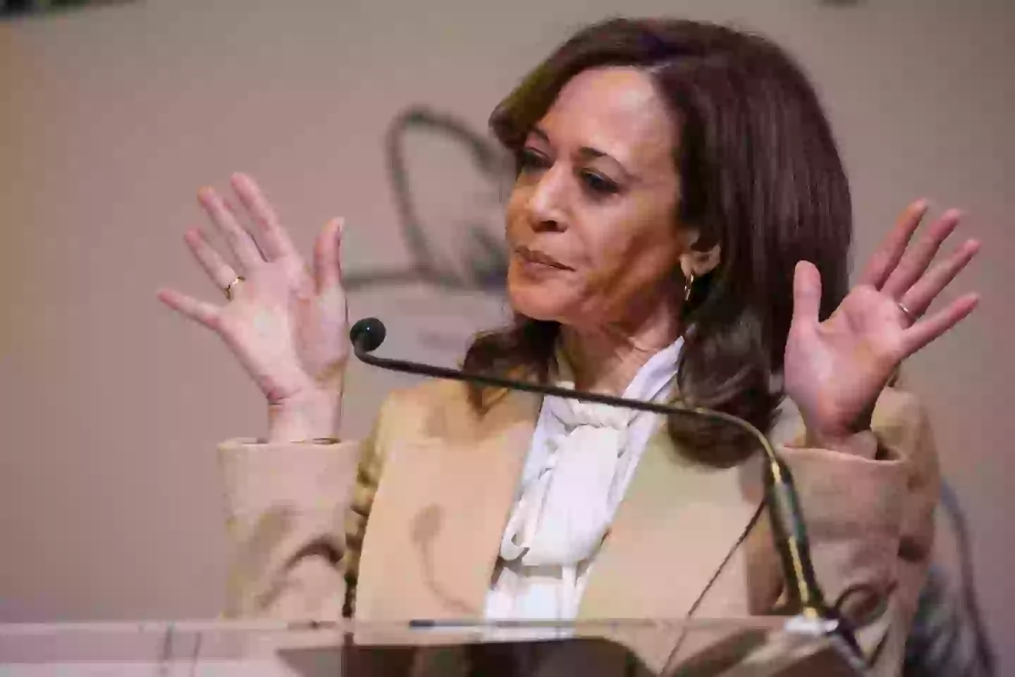 Harris even joked as she said she wasn't using this speech as a big 'I told you so' moment (Juliana Yamada / Los Angeles Times via Getty Images)