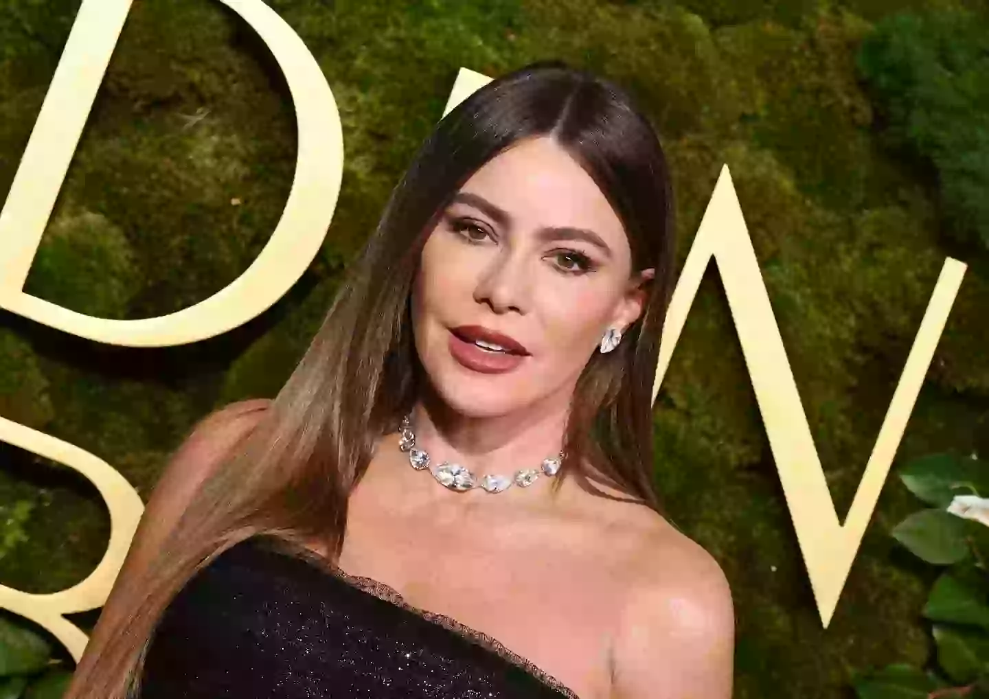 The Modern family actor has been dubbed as 'rude' (Gilbert Flores/GG2025/Penske Media via Getty Images)