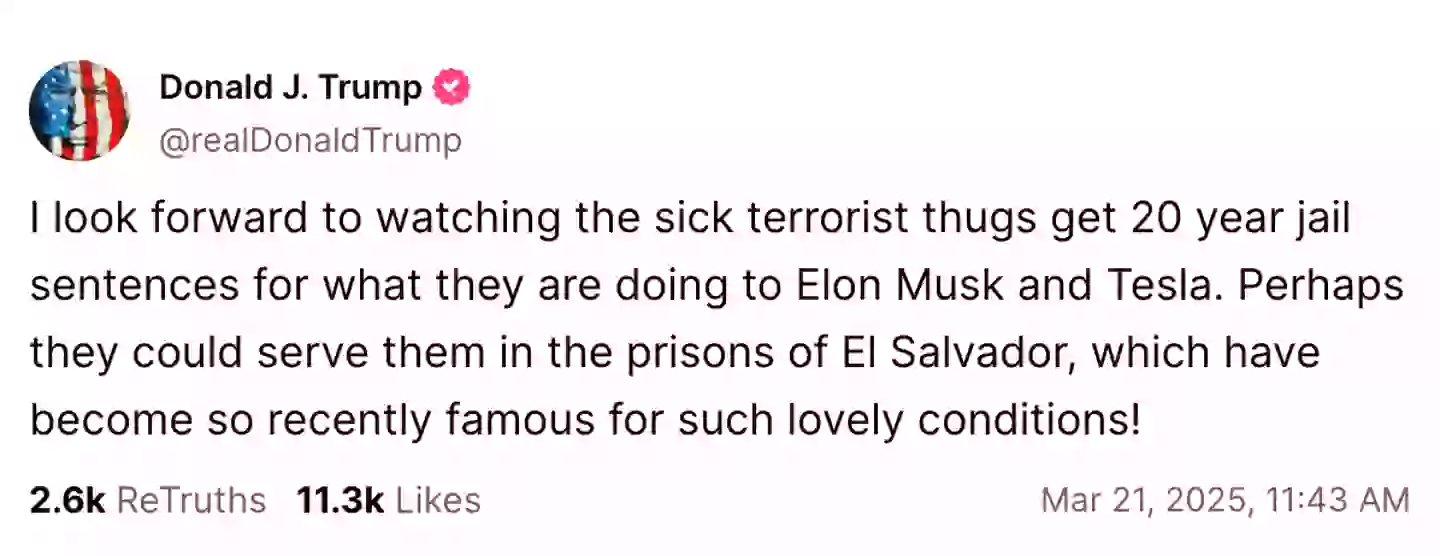 President Trump has branded those who attack Tesla dealerships are 'terrorist thugs' (@realDonaldTrump/Truth Social)