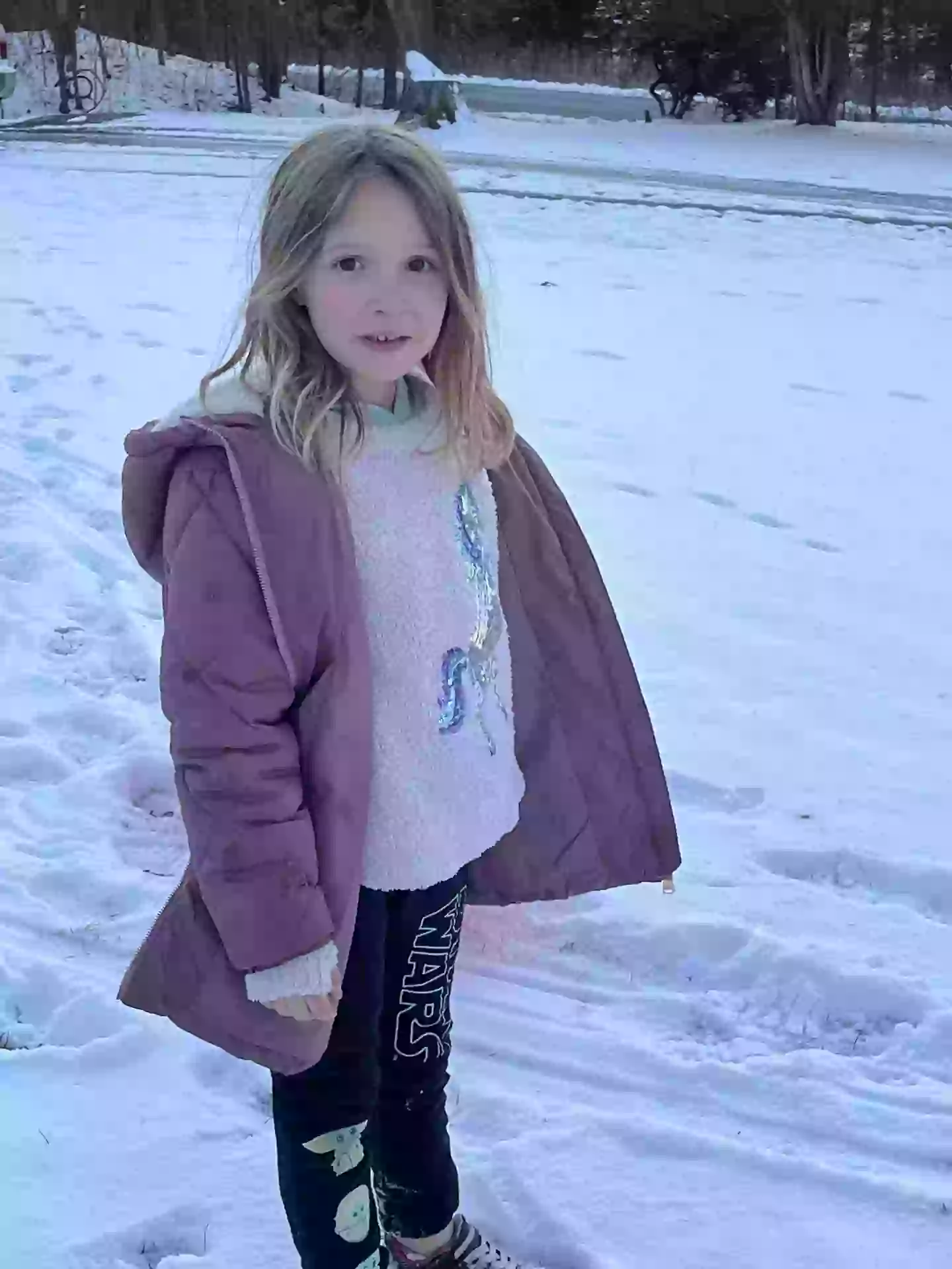 Seven-year-old Scarlett allegedly tried out a tutorial (Kennedy News and Media)