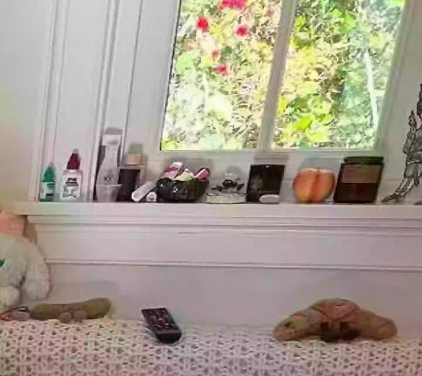 Can you spot it? (Instagram/@selenagomez)