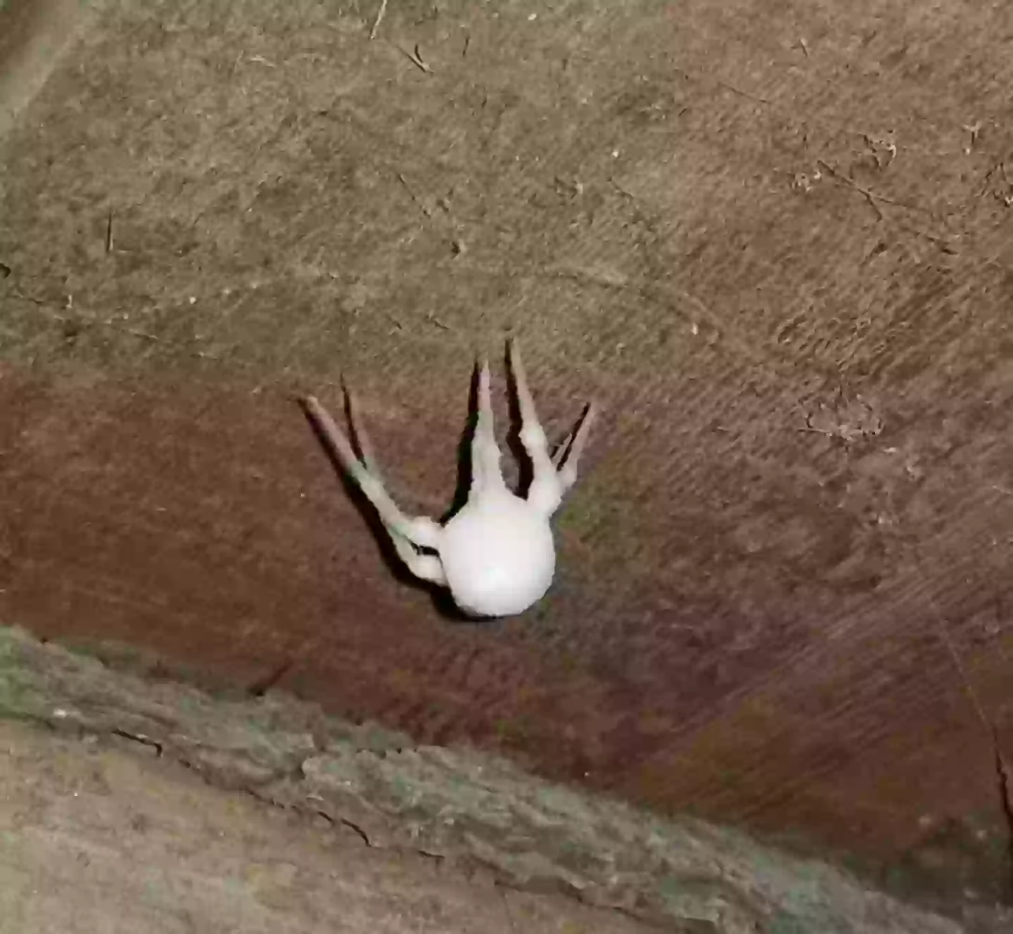 Yep, that's it (Reddit)