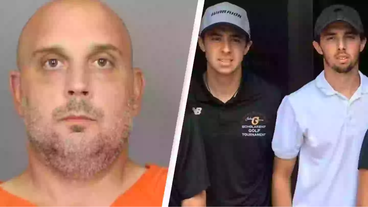 Driver who fatally hit NHL player and his brother argues 'they were drunker than him' in plea to drop criminal charges