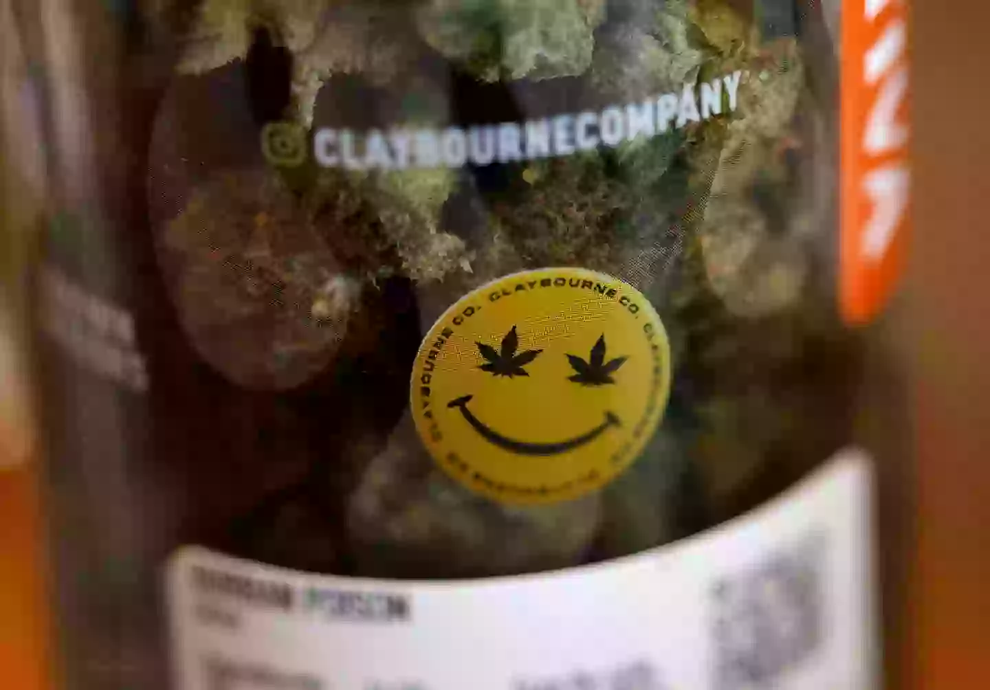 President Donald Trump is looking into reclassifying marijuana in the US (Justin Sullivan/Getty Images)