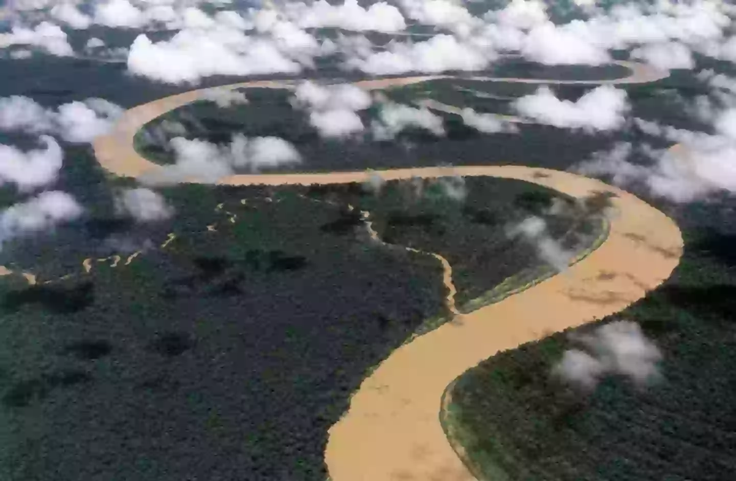 Much of Brazil's inland border feature impenetrable jungles (COLLART Hervé/Sygma via Getty Images)