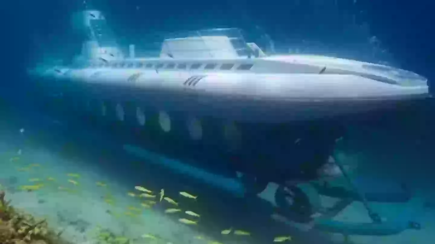 Everything we know so far after tourist submarine sinks leaving 6 people dead