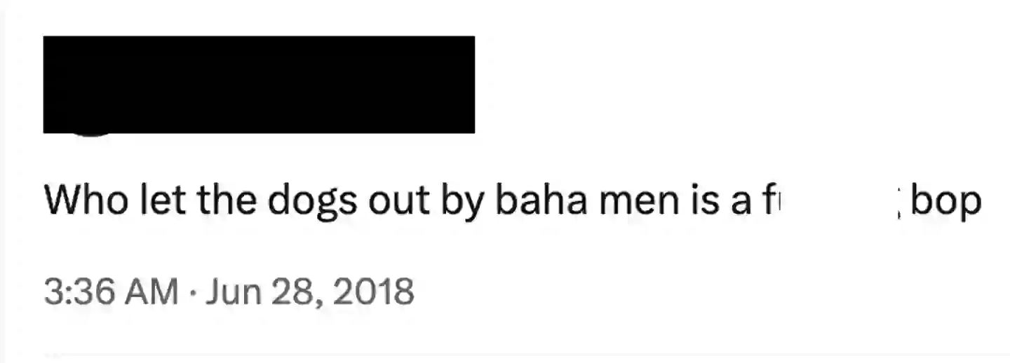 Who Let The Dogs Out is still loved by fans 25 years on (X)