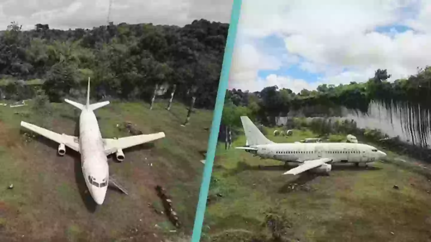 Boeing 737 mysteriously discovered in random field and no one knows how it got there