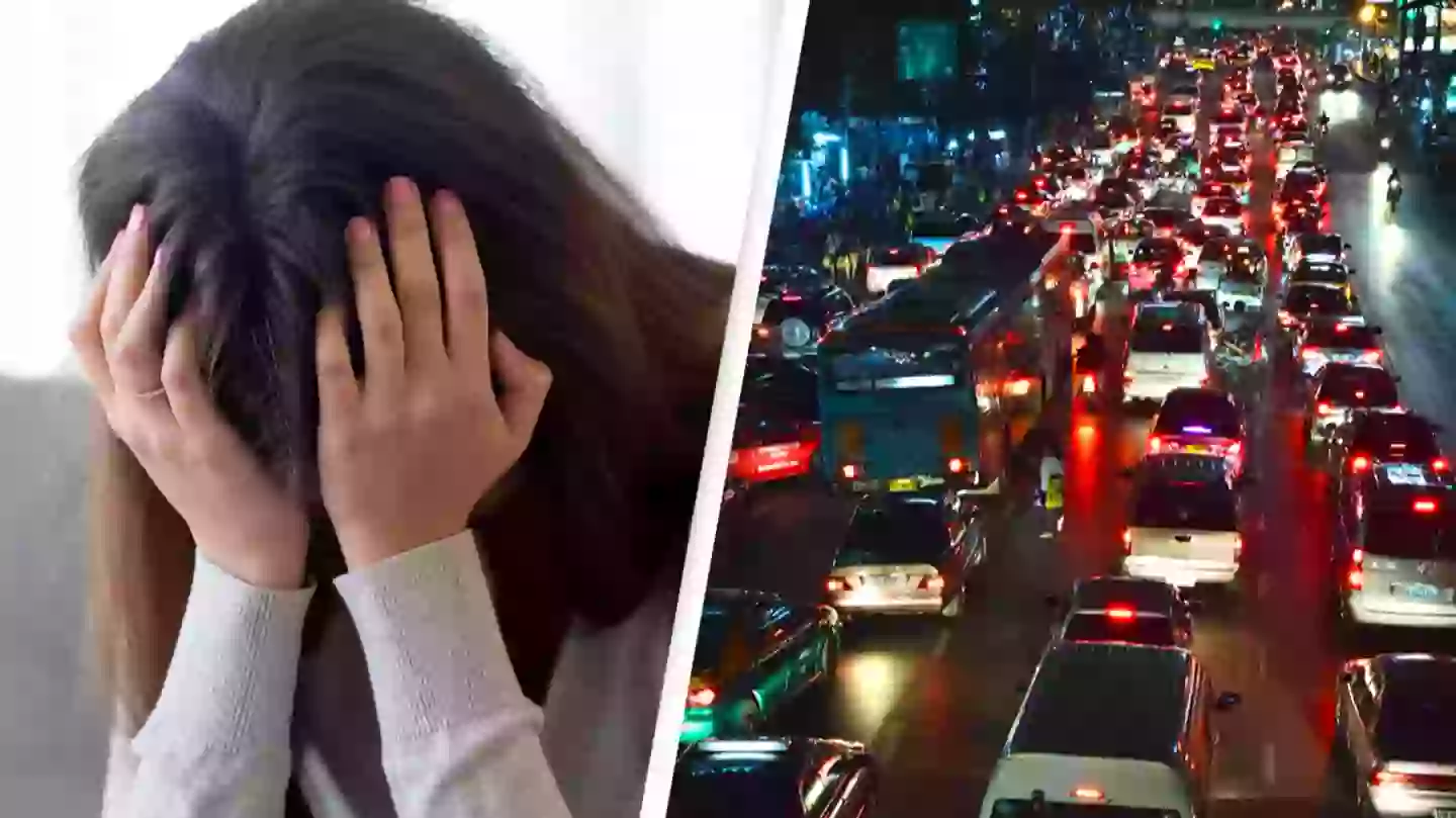 Aleksandr Davydov / Damian Alamy / Alamy Stock Photo