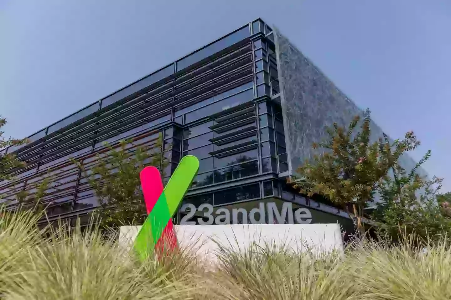 23andMe filed for bankruptcy (Getty Stock Images)
